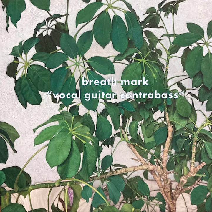 vocal guitar contrabass - Breath Mark